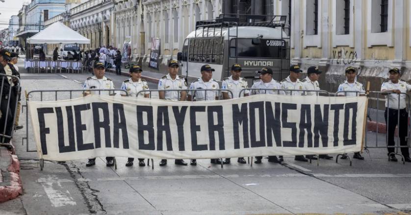 BAYER PAGA 7.250 MILLONES PARA SILENCIAR LAS DEMANDAS POR GLIFOSATO