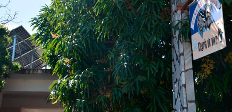 CUBA ENERGÉTICA: PANELES SOLARES COMO RESPUESTA COLECTIVA AL BLOQUEO