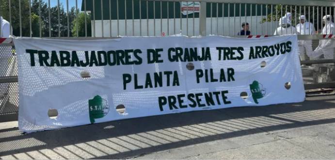 EL COLAPSO AVÍCOLA: GRANJA TRES ARROYOS AL BORDE DE LA QUIEBRA POR LA INVASIÓN BRASILEÑA