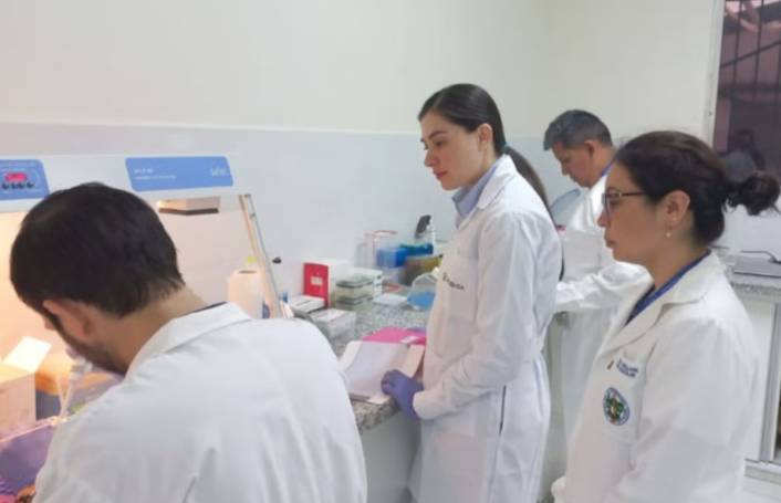 DENGUE EN AMÉRICA: LA OPS ALERTA SOBRE LA PERSISTENCIA DE LA AMENAZA EPIDEMIOLÓGICA