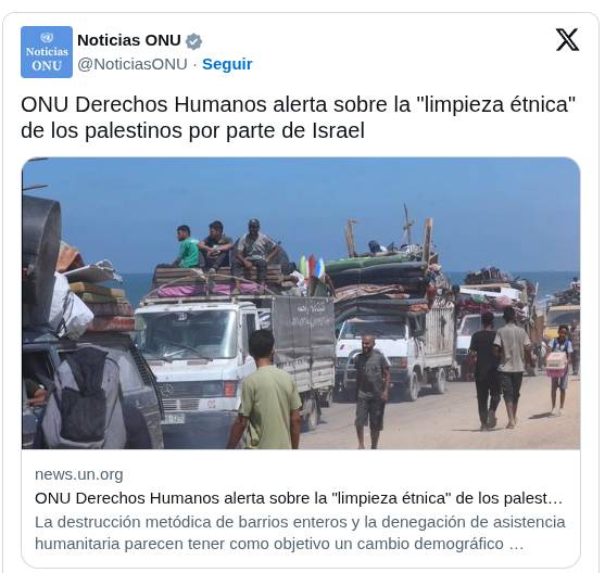 LA ONU DENUNCIA LIMPIEZA ÉTNICA ISRAELÍ Y UN ATAQUE GLOBAL A LOS DERECHOS HUMANOS