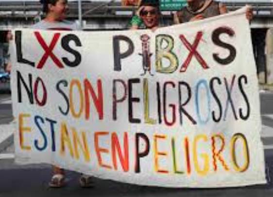 LA BAJA DE EDAD DE PUNIBILIDAD: UN DEBATE QUE REVICTIMIZA A LA NIÑEZ