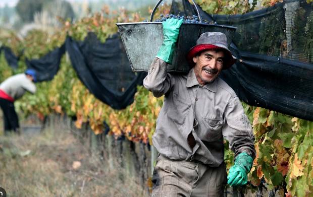 EL CAMPO RETROCEDE: LA REFORMA QUE DEVUELVE A LOS TRABAJADORES RURALES A LA ÉPOCA DE LA DICTADURA