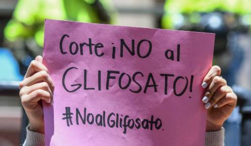 EL GLIFOSATO: UN VENENO QUE CRUZA FRONTERAS Y ENVENENA LATINOAMÉRICA