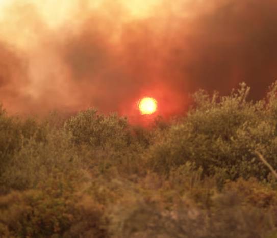 LA TIERRA SE CALIENTA AL DOBLE DE VELOCIDAD: EL COLAPSO CLIMÁTICO SE ACELERA