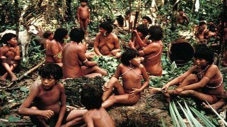 ORO SANGRIENTO: EL GENOCIDIO SILENCIOSO EN LA AMAZONÍA VENEZOLANA