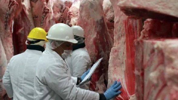 EL ASADO ARGENTINO SE CONVIERTE EN LUJO INACCESIBLE. EL CONSUMO DE CARNE CAE A MÍNIMOS HISTÓRICOS