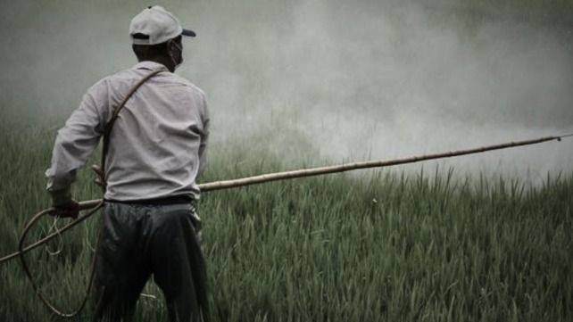 INFERNOS TÓXICOS: MÉXICO TIENE MÁS DE 50 ZONAS DE SACRIFICIO SEGÚN LA ONU