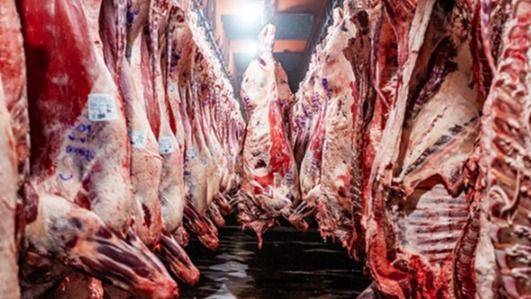 EL DESREGULADOR Y EL ANTIBIÓTICO PROHIBIDO: CHINA FRENA LA CARNE ARGENTINA