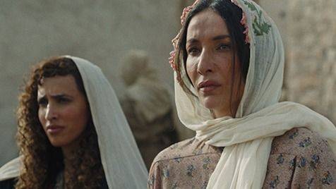 PALESTINA 1936: LA MEMORIA QUE INAUGURA LA LUCHA POR LOS DERECHOS HUMANOS