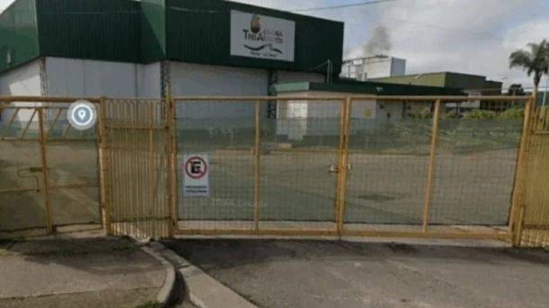 LA AVÍCOLA GIGANTE SE DESMORONA: DESPIDOS ENCUBIERTOS Y CHEQUES REBOTADOS