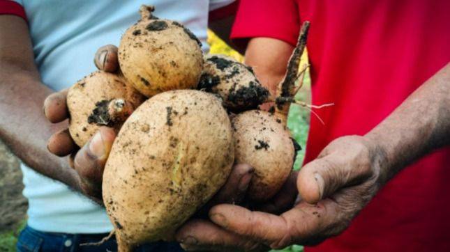 EEUU ASFIXIA AL CAMPESINADO CUBANO CON BLOQUE GENOCIDA