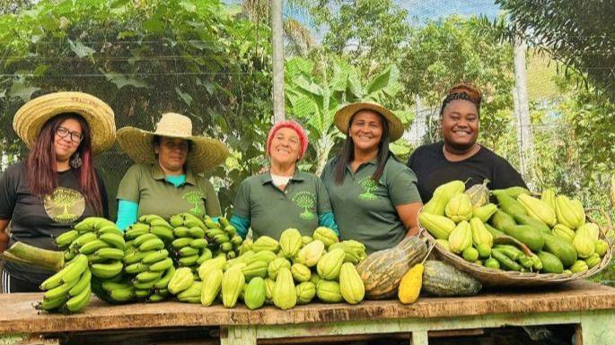 SOBERANÍA ALIMENTARIA: LA RESISTENCIA QUE BROTA DE LA TIERRA PAULISTA