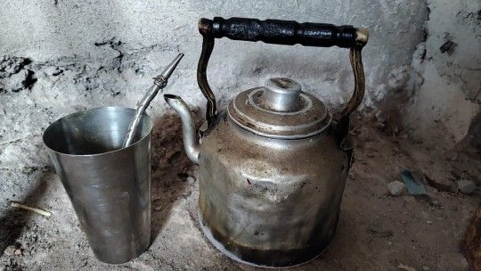 COMO TIRAR UN CHANCHO DE LA COLA