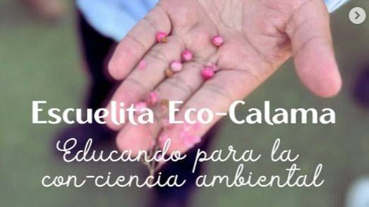 SEMILLAS DE RESISTENCIA EN EL DESIERTO: LA ESCUELITA QUE ENSEÑA A CUIDAR EL OASIS DE CALAMA