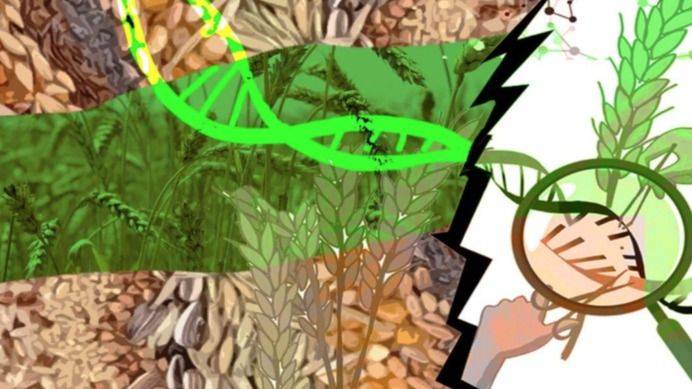 CHILE: LA NUEVA CARA DEL AGRONEGOCIO SE LLAMA EDICIÓN GENÉTICA