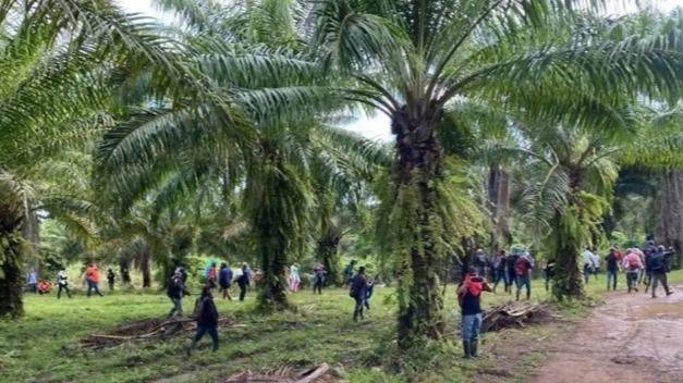 HONDURAS: MASACRE CAMPESINA EN COLÓN DEJA AL MENOS 20 MUERTES