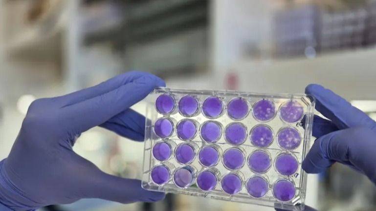 CIENTÍFICOS ARGENTINOS ENCUENTRAN LA CLAVE PARA FRENAR A TRES VIRUS PELIGROSOS DE GOLPE