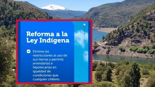 LA TIERRA NO SE VENDE: EL PLAN DE KAST PARA MERCADO LIBRE EN TERRITORIOS INDÍGENAS ENCIENDE ALARMA EN WALLMAPU