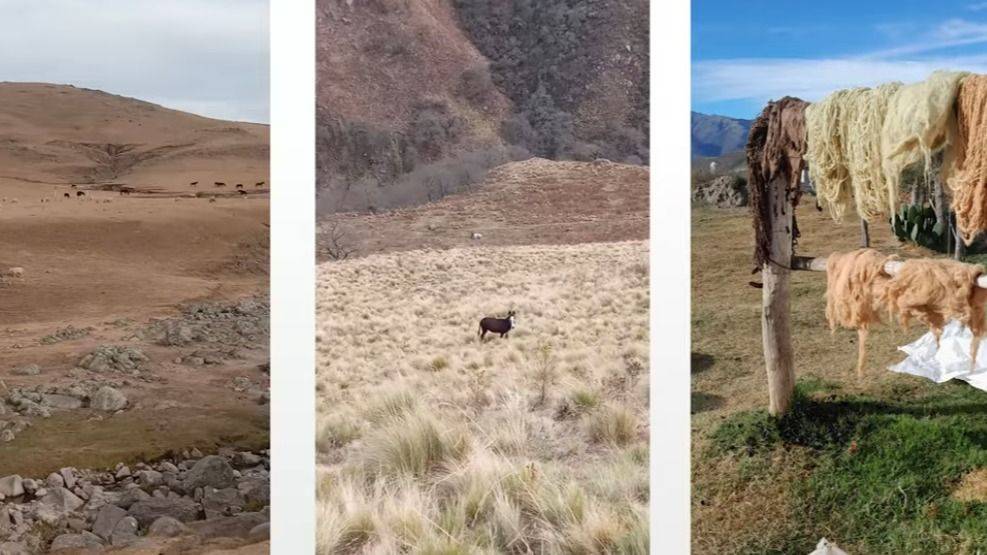 LA TIERRA NO ES SUELO, ES NUESTRO PROPIO CUERPO