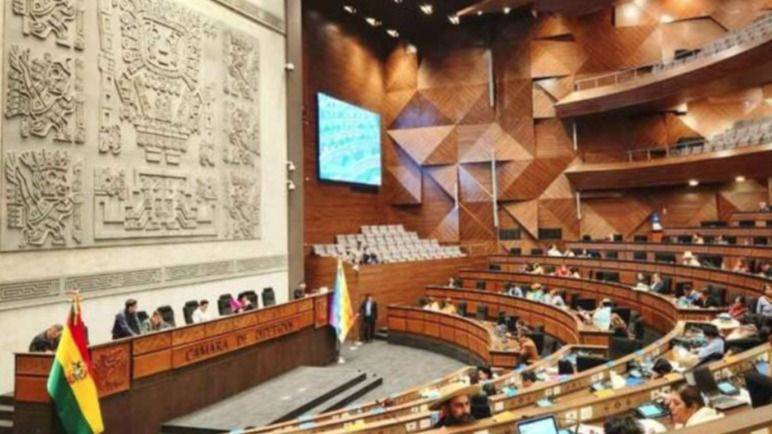 MANO DURA CON FIRMA EN BOLIVIA: DIPUTADOS APRUEBAN LEY QUE LE SUELTA LAS CADENAS AL PRESIDENTE