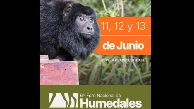 HUMEDALES BAJO ASEDIO: EL FORO QUE RESISTE EN TIEMPOS DE AJUSTE AMBIENTAL