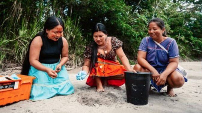 MUJERES INDÍGENAS, LA RESPUESTA TERRITORIAL A LA CRISIS AMBIENTAL EN AMÉRICA LATINA