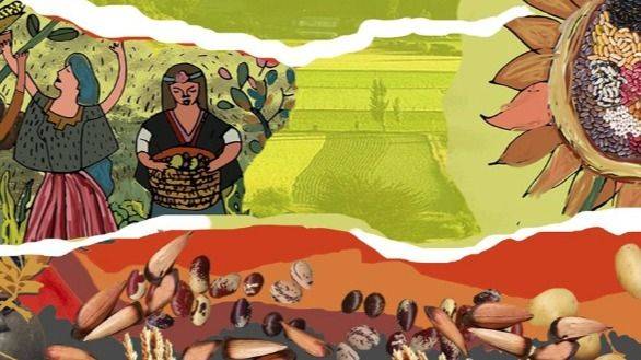 EL SAG QUIERE PATENTAR LAS SEMILLAS CAMPESINAS: LA RESPUESTA DE QUIENES ALIMENTAN A CHILE