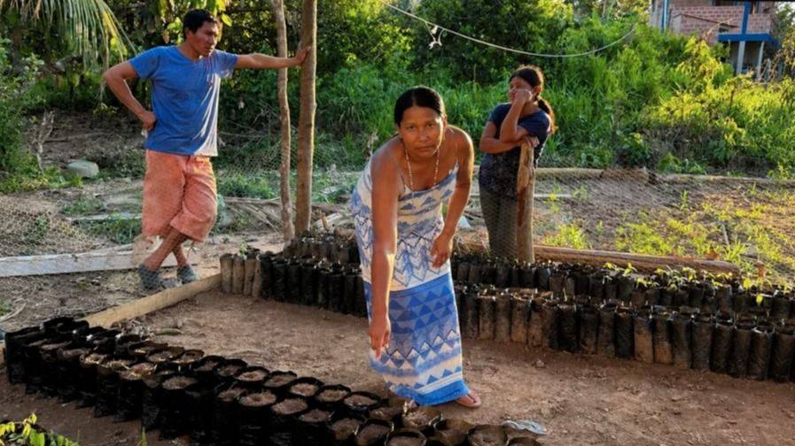 LA SOLUCIÓN ESTÁ FRENTE A NOSOTROS: PUEBLOS INDÍGENAS, LOS VERDADEROS GUARDIANES DEL PLANETA
