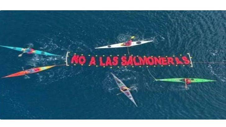 11 MUERTES EN 6 MESES: LA INDUSTRIA SALMONERA SIGUE COBRANDO VIDAS MIENTRAS LAS GANANCIAS NO SE TOCAN