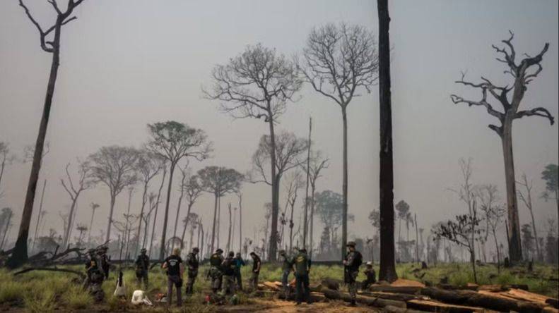 LA FLONA DEL JAMANXIM SE QUEMA Y LA DEVORAN: ENTRE EL FUEGO CRIMINAL Y UN PL QUE REGALA LA SELVA A LOS RURALISTAS