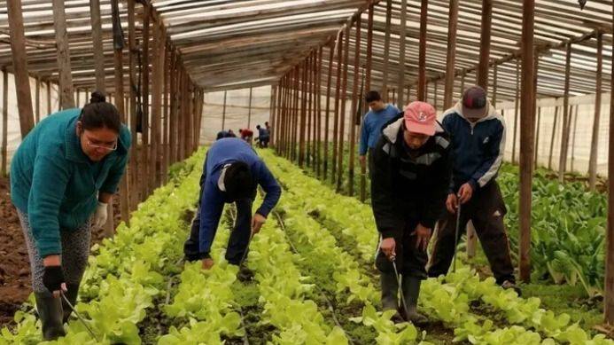 LA AGRICULTURA FAMILIAR BONAERENSE VUELVE A LA CANCHA CON PLATA FRESCA PARA COOPERATIVAS Y PRODUCTORES