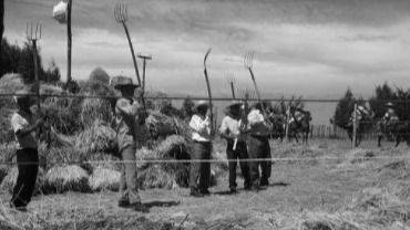 LA TIERRA ROMPIÓ SUS CADENAS: LA REFORMA AGRARIA QUE ALLENDE VOLVIÓ REALIDAD