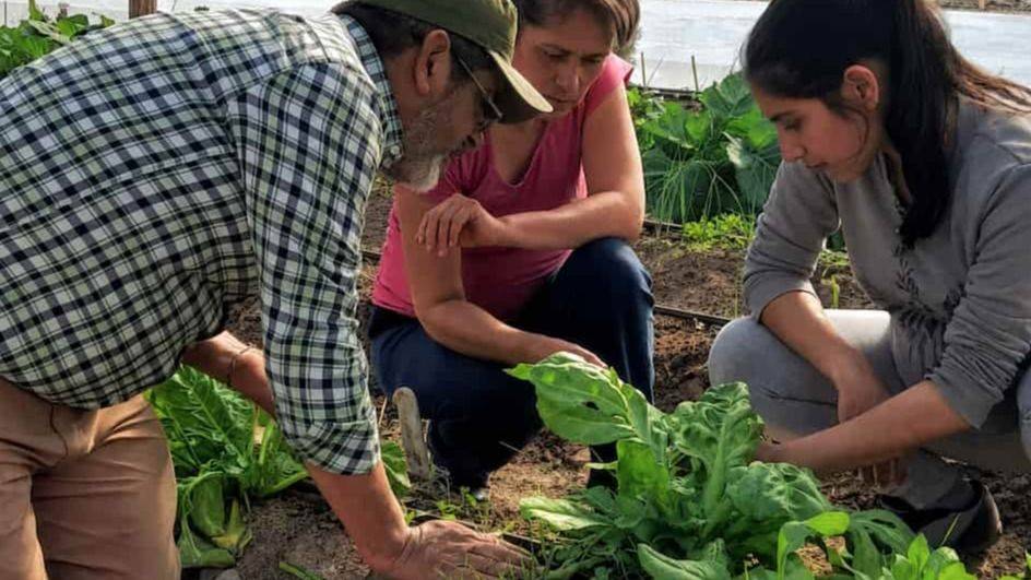 DOLAVON PRODUCE: CUANDO LA TIERRA RECUPERADA DESAFÍA AL MODELO EXTRACTIVISTA
