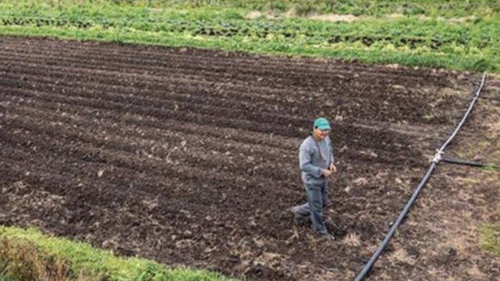 EL RECHAZO A LA EXTRANJERIZACIÓN REABRE EL DEBATE SOBRE QUIÉN ES DUEÑO DEL CAMPO