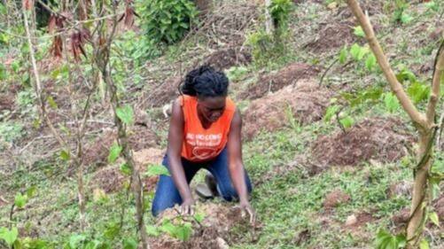 LA SEMILLA DE PLAISANCE: UNA CAMPESINA HAITIANA CONTRA LA NARRATIVA DEL CAOS