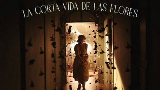 LA CORTA VIDA DE LAS FLORES: UN DEBUT QUE DESNUDA LA FRAGILIDAD DEL AMOR