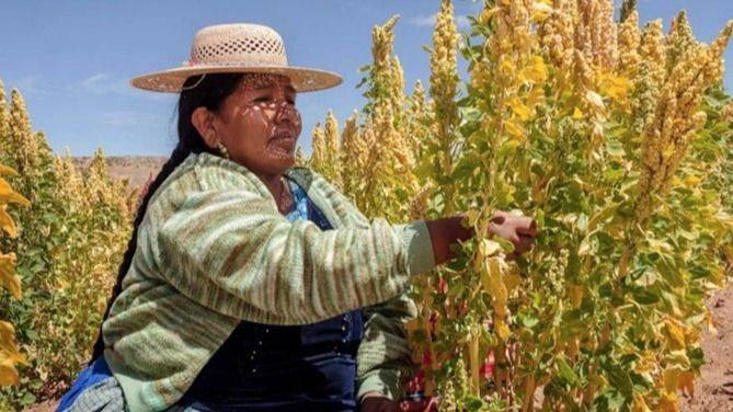 LA MESA Y EL ABISMO: CUANDO LA TIERRA DEGRADADA EXIGE CAMBIAR EL PLATO