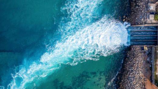 LA DESALINIZACIÓN QUE MIRA AL MAR PERO NO A SUS CRIATURAS
