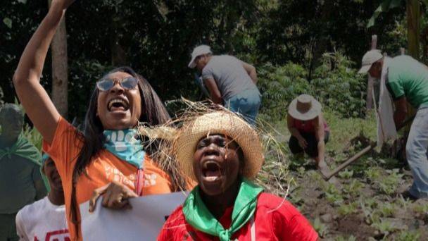 EL ARROZ QUE LLEGA DE AFUERA Y EL CAMPESINO QUE SE QUEDA SIN TIERRA