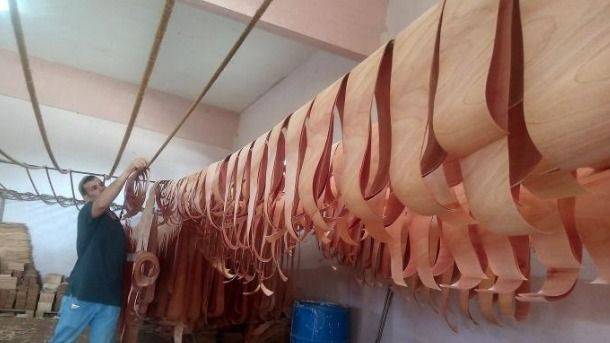 ALLER DE CEDRO QUE SUSTITUYE IMPORTACIONES Y SOSTIENE EL AGUA DE UN PUEBLO
