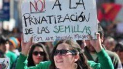 SEMILLAS LIBRES, DELITO COBRADO